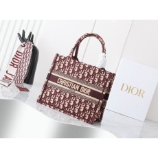 Christian Dior Shopping Bags